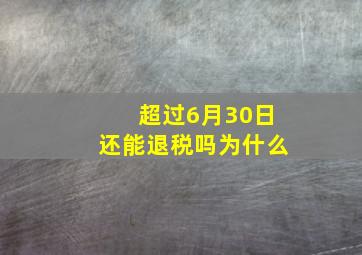 超过6月30日还能退税吗为什么