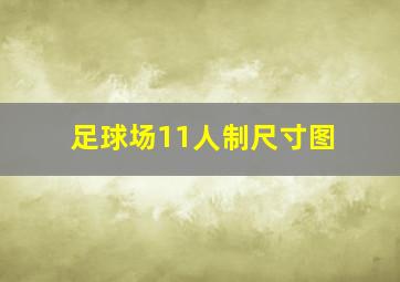 足球场11人制尺寸图