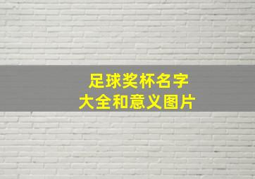 足球奖杯名字大全和意义图片