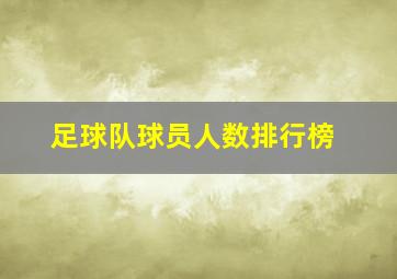 足球队球员人数排行榜