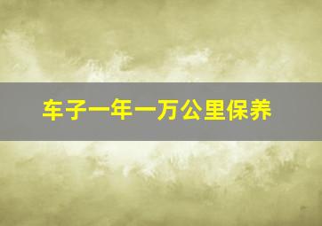 车子一年一万公里保养