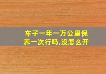 车子一年一万公里保养一次行吗,没怎么开