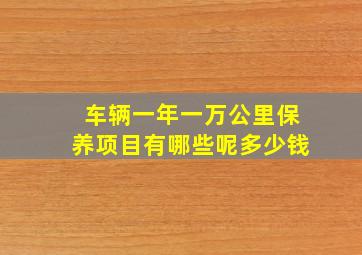 车辆一年一万公里保养项目有哪些呢多少钱