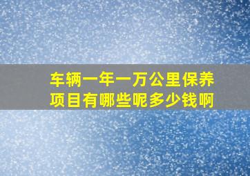 车辆一年一万公里保养项目有哪些呢多少钱啊