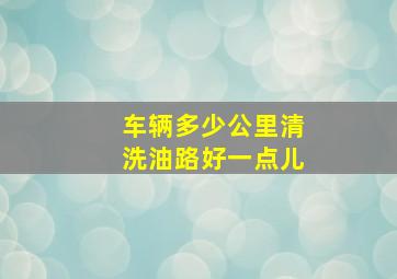 车辆多少公里清洗油路好一点儿