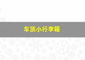 车顶小行李箱