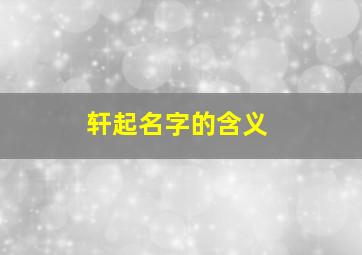 轩起名字的含义