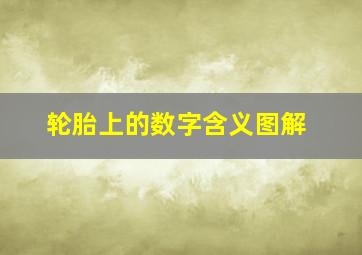 轮胎上的数字含义图解