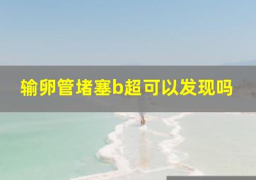 输卵管堵塞b超可以发现吗