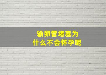 输卵管堵塞为什么不会怀孕呢