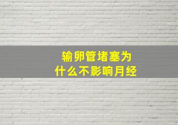 输卵管堵塞为什么不影响月经