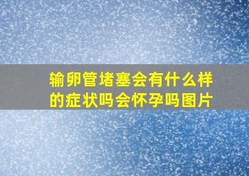 输卵管堵塞会有什么样的症状吗会怀孕吗图片