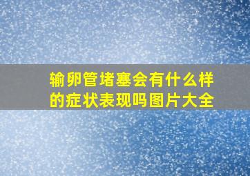 输卵管堵塞会有什么样的症状表现吗图片大全