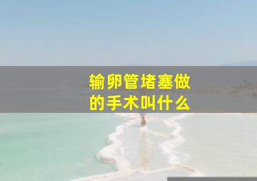 输卵管堵塞做的手术叫什么