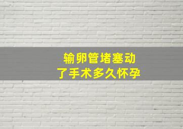 输卵管堵塞动了手术多久怀孕