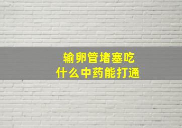 输卵管堵塞吃什么中药能打通