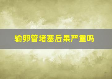 输卵管堵塞后果严重吗