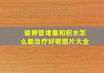 输卵管堵塞和积水怎么能治疗好呢图片大全