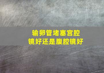 输卵管堵塞宫腔镜好还是腹腔镜好