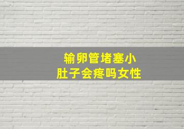 输卵管堵塞小肚子会疼吗女性