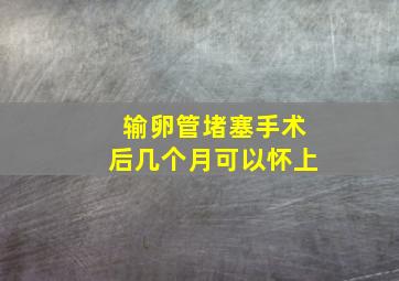 输卵管堵塞手术后几个月可以怀上