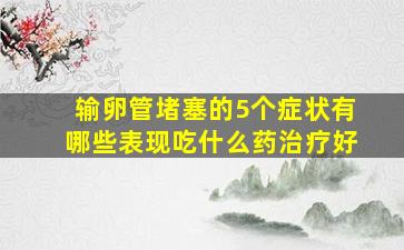 输卵管堵塞的5个症状有哪些表现吃什么药治疗好