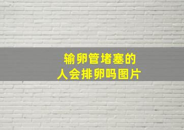 输卵管堵塞的人会排卵吗图片