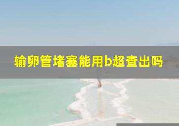 输卵管堵塞能用b超查出吗