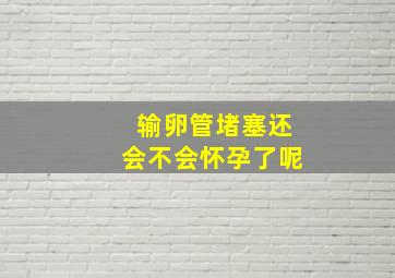 输卵管堵塞还会不会怀孕了呢