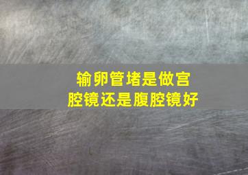 输卵管堵是做宫腔镜还是腹腔镜好