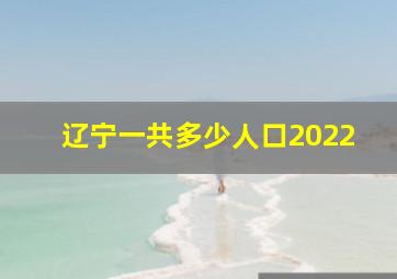 辽宁一共多少人口2022