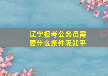 辽宁报考公务员需要什么条件呢知乎