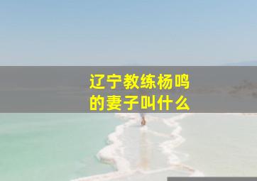 辽宁教练杨鸣的妻子叫什么