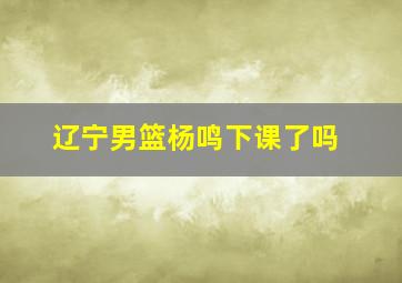 辽宁男篮杨鸣下课了吗