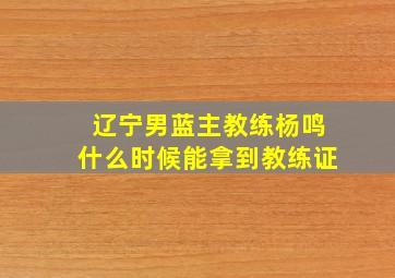 辽宁男蓝主教练杨鸣什么时候能拿到教练证