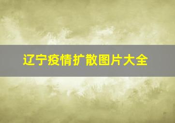 辽宁疫情扩散图片大全