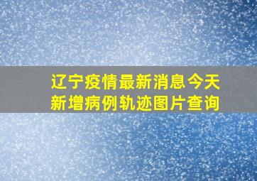 辽宁疫情最新消息今天新增病例轨迹图片查询