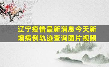 辽宁疫情最新消息今天新增病例轨迹查询图片视频