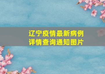 辽宁疫情最新病例详情查询通知图片