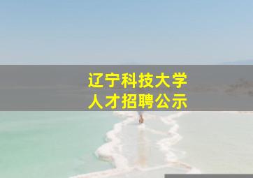 辽宁科技大学人才招聘公示