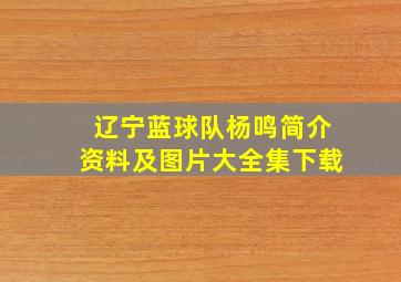 辽宁蓝球队杨鸣简介资料及图片大全集下载