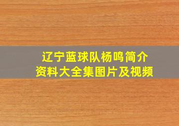 辽宁蓝球队杨鸣简介资料大全集图片及视频