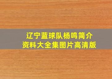 辽宁蓝球队杨鸣简介资料大全集图片高清版