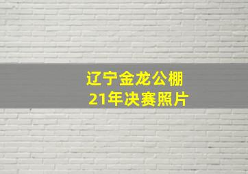 辽宁金龙公棚21年决赛照片