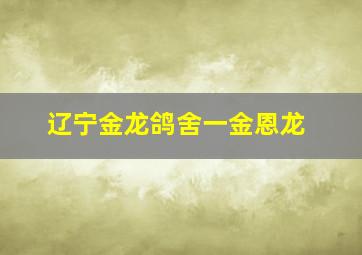 辽宁金龙鸽舍一金恩龙