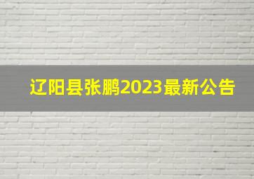 辽阳县张鹏2023最新公告