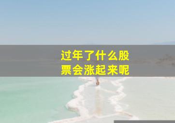 过年了什么股票会涨起来呢