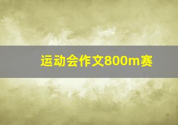 运动会作文800m赛