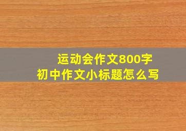 运动会作文800字初中作文小标题怎么写