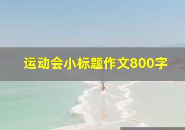 运动会小标题作文800字